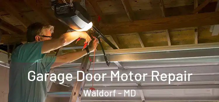  Garage Door Motor Repair Waldorf - MD