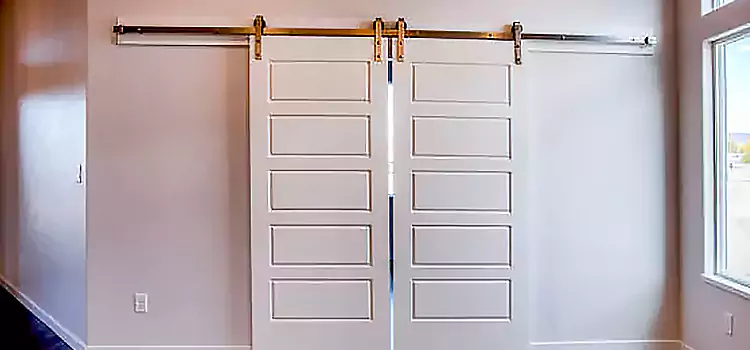 Glass Barn Door with Installation Hardware Kit Waldorf